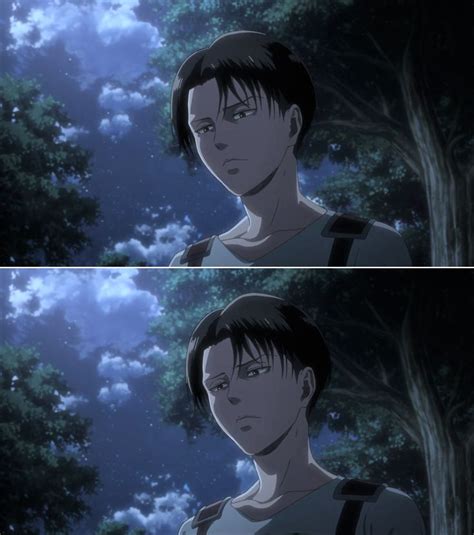 Levi Aot リヴァイ 進撃の巨人 巨人