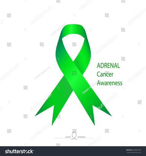 Adrenal Cancer Awareness Green Color Ribbon Stock Vector Royalty Free 549605593 Shutterstock