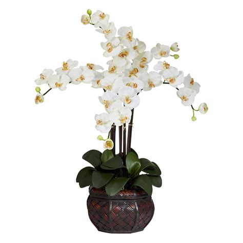 Search here · awesome results · relevant results · more relevant Silk Phalaenopsis Orchids with Decorative Vase | 1211