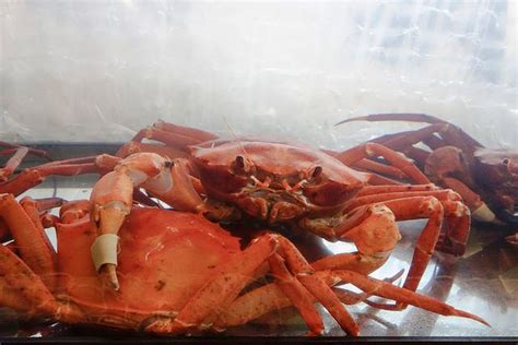 Deep Sea Red Crab On Display At The Chefs Seafood Symposium ©julia