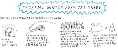 Your Illustrated Extreme Winter Survival Guide The Secret Yumiverse