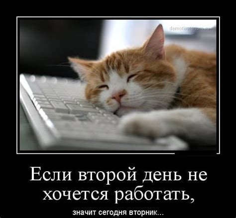 Jun 29, 2021 · все права на картинки и тексты принадлежат их авторам. Прикольные картинки про вторник (40 фото) • Прикольные ...