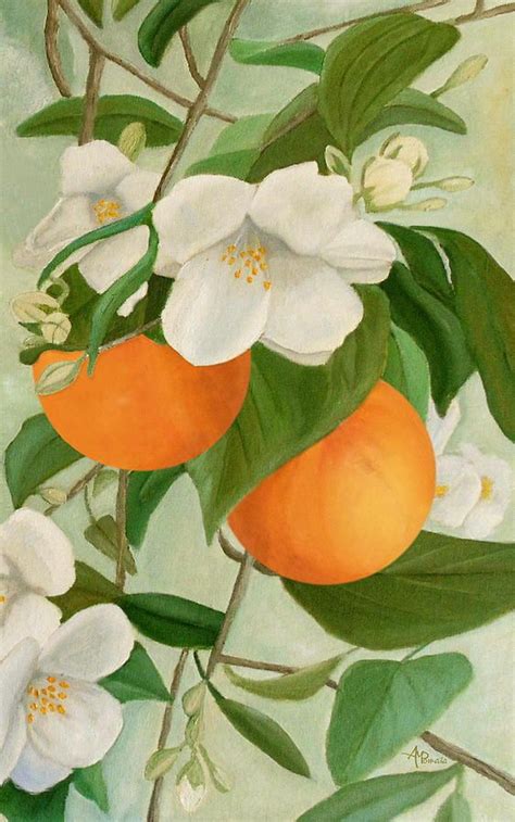 Orange Blossoms Painting Branch Of Orange Tree In Bloom By Angeles M