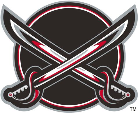 Buffalo Sabres Alternate Logo 2001 A Black Circle With Two Silver