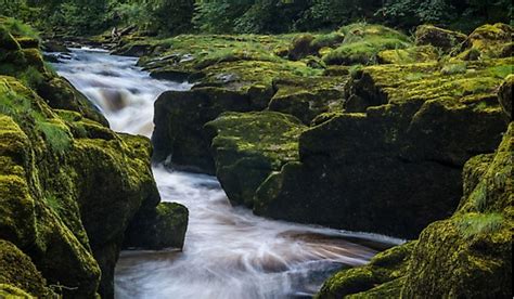 The Bolton Strid The Most Dangerous River In The World Worldatlas