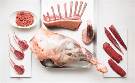 Cuts Of Lamb License Images Stockfood