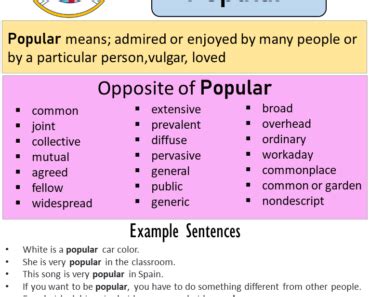 Opposite Of Shy Antonyms Of Shy Meaning And Example Sentences