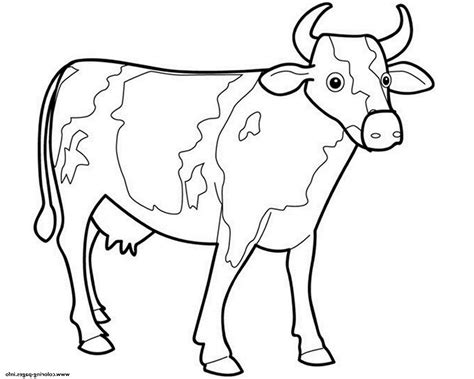 Vacas Para Colorear Dibujos Para Imprimir Y Pintar