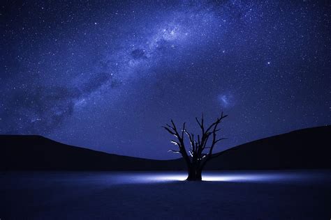 Trees Night Sky Silhouette Stars Glowing Hills Milky Way