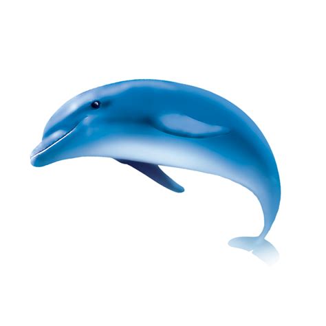 Png Hd Dolphin Transparent Hd Dolphinpng Images Pluspng