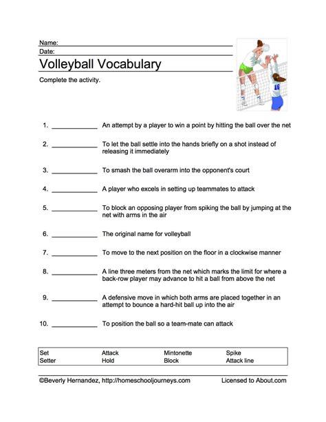 Volleyball Word Search Vocabulary Crossword And More