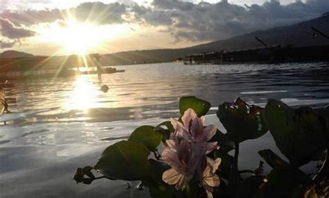 Hanya dengan satu kali sentuhan jari, kamu sudah bisa mendapatkannya dengan mudah dan. 10 Gambar Waduk Darma Kuningan, Harga Tiket Masuk Sejarah ...