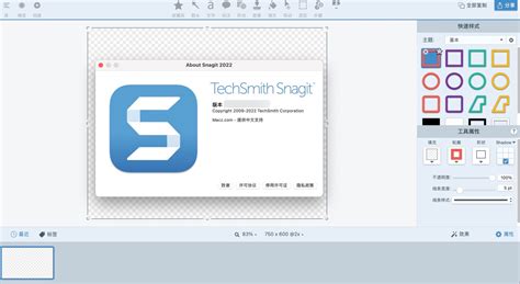 好用的截图软件：snagit For Macwin强大的屏幕截图工具中文最新版 哔哩哔哩