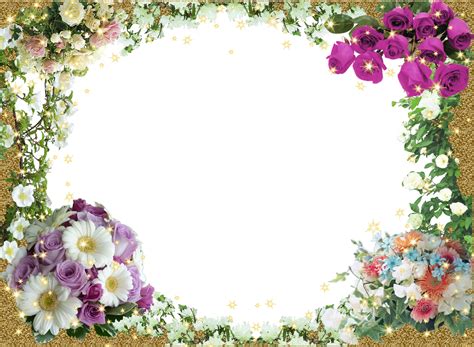 Frames Em Png Brilhantes E Floridos Photoshop Molduras E Photoshop