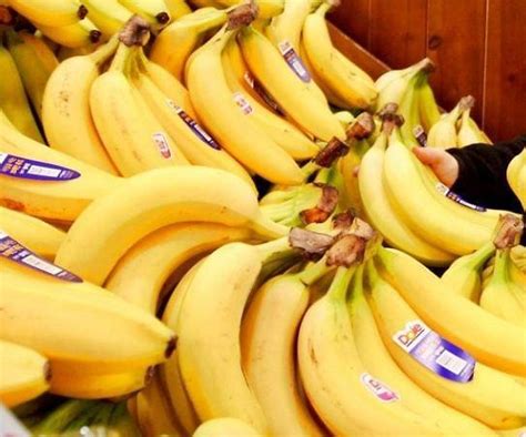 S Korean Farmhouse Celebrates First Harvest Of Bananas Thru Full Scale