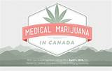 Medical Marijuana Card Canada Pictures