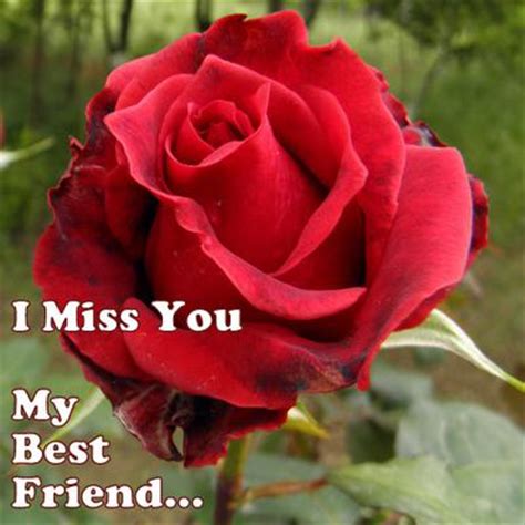 I miss you my best friend. Missing my Best Friend Holly