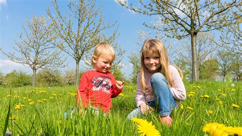 무료 이미지 경치 자연 잔디 사람들 소녀 햇빛 태양 목초지 놀이 소년 귀엽다 여름 봄 녹색 어린이