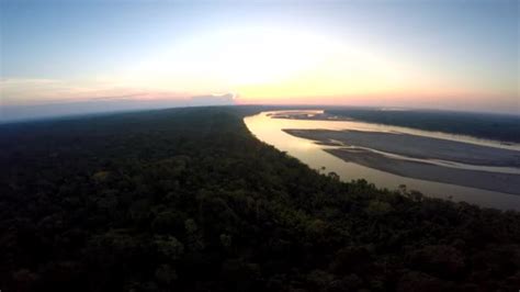 Aerial Shot Amazon Rainforest Sunset — Stock Video © Canopus 144933775