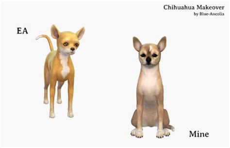 Download Blue Ancolia Sims Pets Sims 4 Pets Sims