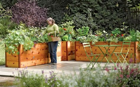 Check spelling or type a new query. Raised Garden Beds: How to Build and Install Them