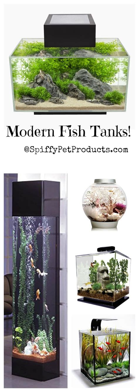 The ultimate guide to modern contemporary fish tanks with. The Ultimate Guide to Modern Contemporary Fish Tanks With ...