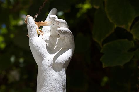 Free Images Hand Branch White Leaf Flower Monument Statue