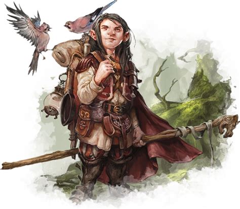 Halfling Species In The Known World World Anvil