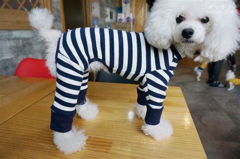 강아지 옷 도안 강아지 올인원 만들기목폴라 스키니 올인원 네이버 블로그