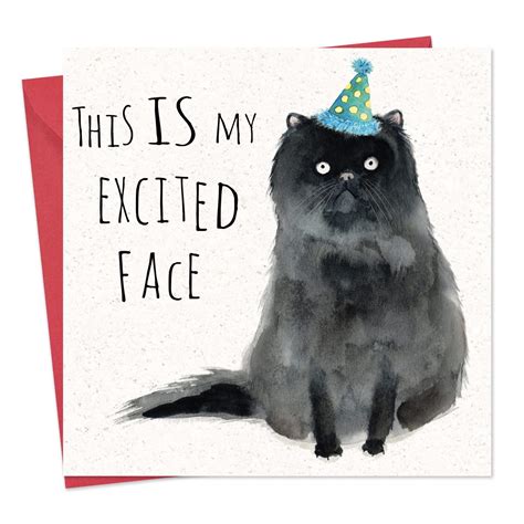 Buy Twizler Funny Birthday Card Cat Funny Birthday Card Women Funny