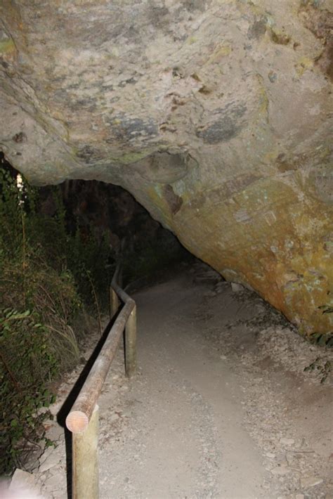 Manresa Grotto — Washington Trails Association