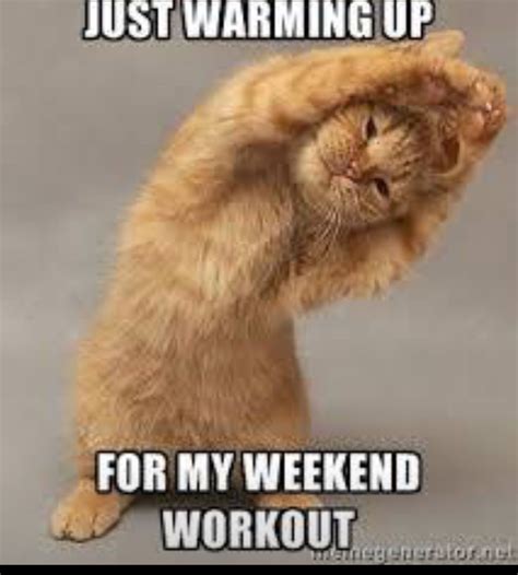 Kitty Workout Warrior I Know That Feel Kitty Funny Cat Memes
