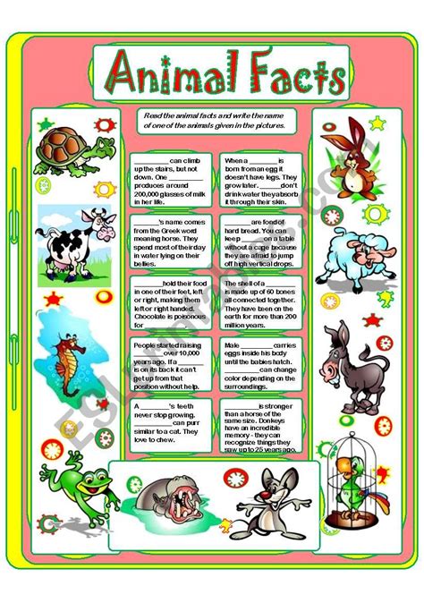 Animal Facts 2 Esl Worksheet By Yulia Mo