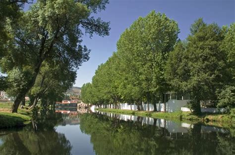 Municipality of castelo branco district. Sertã