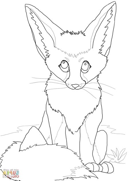 cute baby fox coloring pages  getcoloringscom  printable colorings pages  print  color