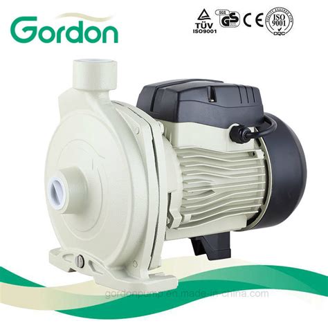 Cast Iron Cpm Series Booster Centrigual Pump With Ppo Impeller China