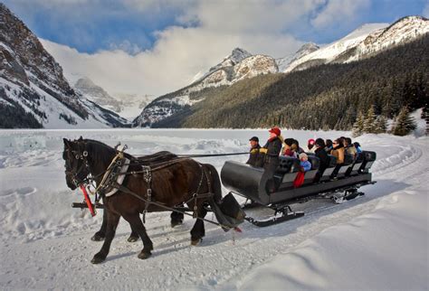 Banff Lake Louise Sleigh Rides Banff Travel