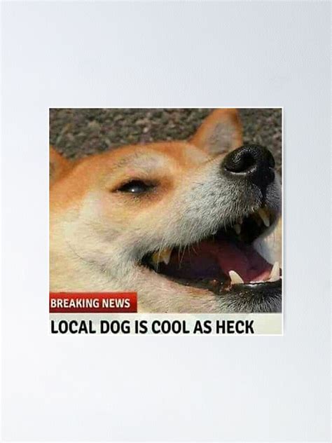 Local Dog Is Cool As Heck Poster By Graceyaldoo Redbubble