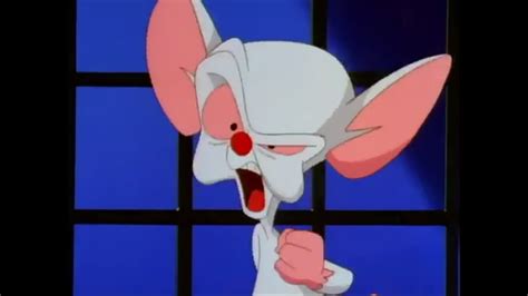 Pinky And The Brain The Same Thing We Do Every Night Pinky Try To Take Over The World