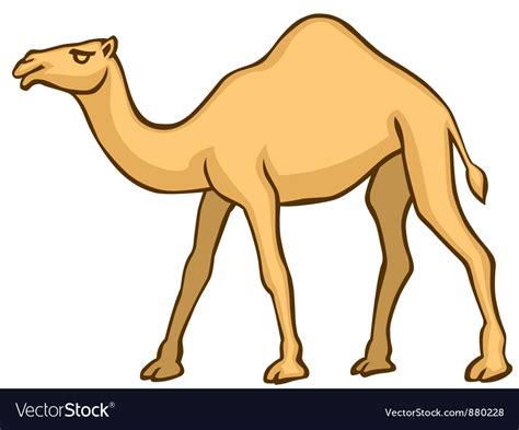 Camel Royalty Free Vector Image Vectorstock