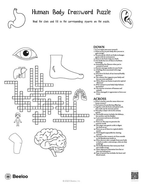 Human Body Crossword Puzzle Beeloo Printable Crafts And Activities
