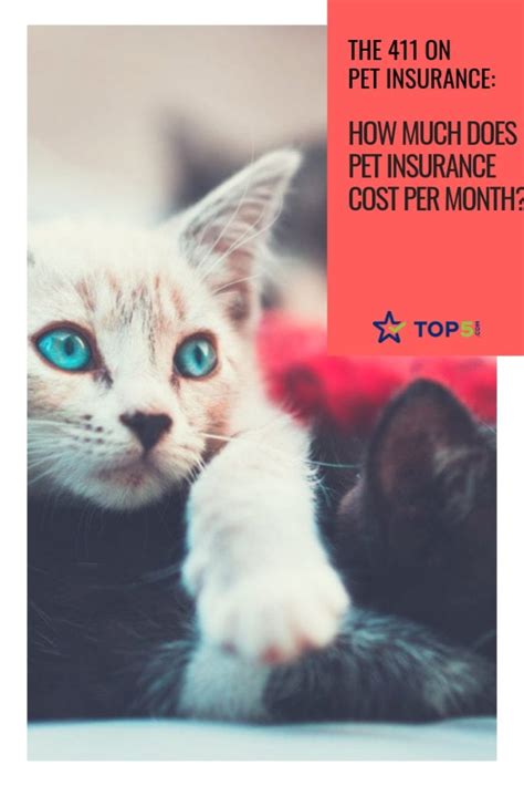 Browse cover levels and extras to find a deal for your cats, dogs and other pets. How Much Does Pet Insurance Cost?