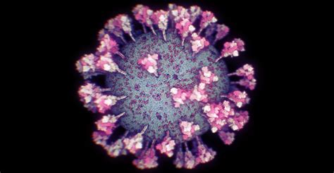 Explore literature, identify clinical trials, and compounds used in them. Este es el alucinante rostro del SARS-CoV-2 en HD y ...