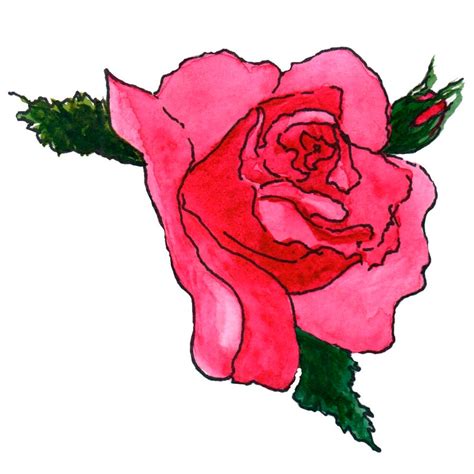 Red Rose Clipart Rose Clip Art Valentine Rose Antique Etsy