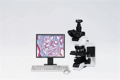 Olympus Microscope Olympus Bx53 Micro MÉcanique