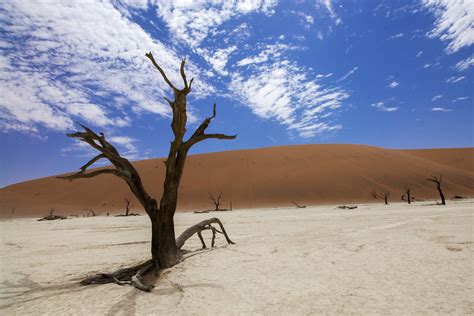 The Stunning Namib Desert of Ethiopia - Traveler Dreams