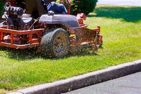 Benefits Of Hiring Lawn Care Professionals Encore