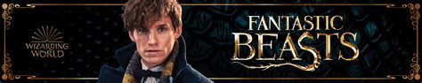 Rowling's wizarding world) is a fantasy media franchise and shared fictional universe centred on a series of films. Amazon.com: Wizarding World: Fantastic Beasts