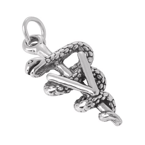 TheCharmWorks Sterling Silver 3D Vet Charm | Sterling, Sterling silver, Silver