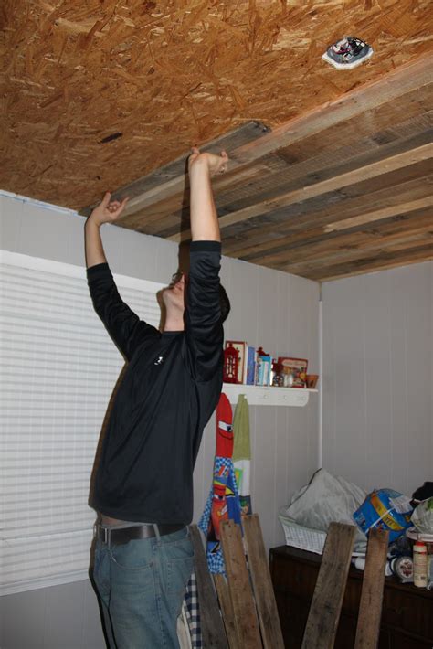 I did a diy project last summer, and i was surprised how i dramatically reduced the noise entering and leaving the basement through the ceiling. Maple Leaves & Sycamore Trees: Our Refined Pallet (Ceiling)